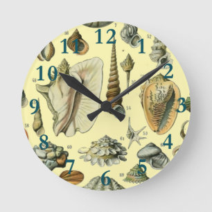 Horloge Ronde Coquillage Coquille Mollusque Clam Élégant Classiq