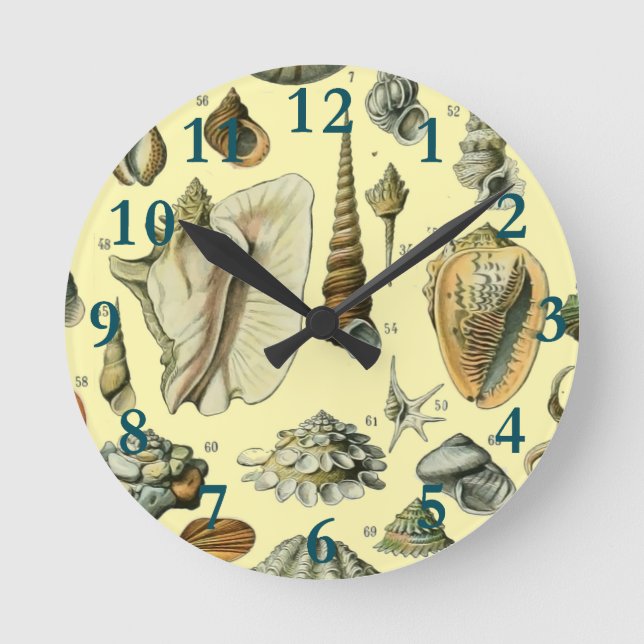 Horloge Ronde Coquillages de coquillages Mollusk Clam Élégant Ar (Recto)