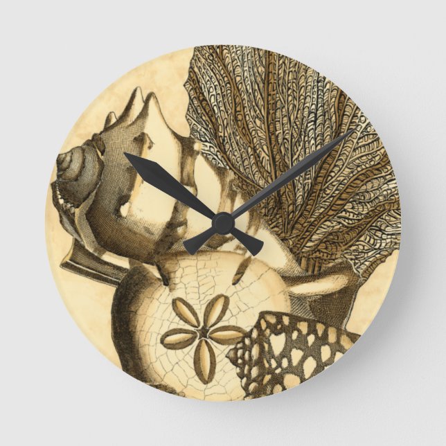 Horloge Ronde Coquilles neutres et collection de corail (Recto)