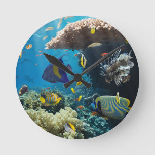 Horloge Ronde Corail et poissons en Mer Rouge, Egypte