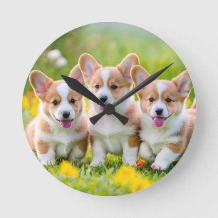Horloge Ronde Corgies jouant dans l'herbe