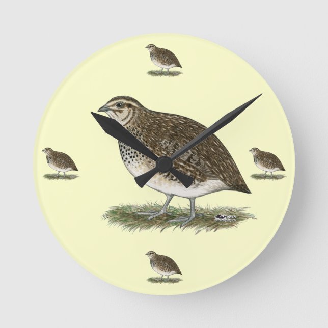 Horloge Ronde Coturnix Quail (Recto)