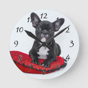 Horloge Ronde Coussin rouge : le chien-taureau noir et blanc