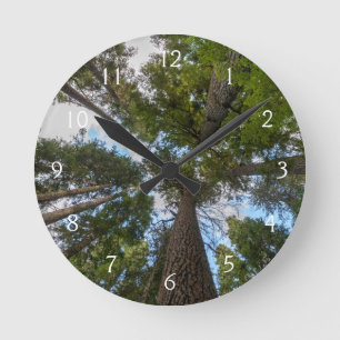 Horloge Ronde couvert de sapin de Douglas