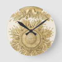 Créatures d'or de mer