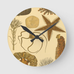 Horloge Ronde Créatures sous-marines