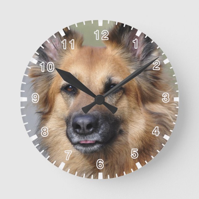 Horloge Ronde Créez votre propre photo d'animal de compagnie (Recto)