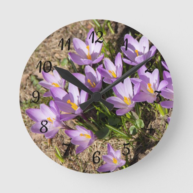 Horloge Ronde Crocus de printemps mignons (Recto)