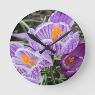 Horloge Ronde Crocus De Printemps Violet.