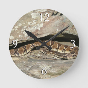 Horloge Ronde Crotale dans le parc national de Shenandoah