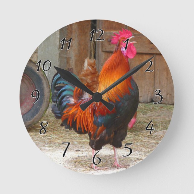 Horloge Ronde Crowing Red Rooster de Rhode Island (Recto)