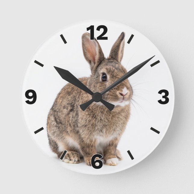 Horloge Ronde Cute Brown Rabbit Bunny Farm Nursery Decor (Recto)