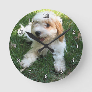 HORLOGE RONDE CUTE CAVAPOO PUPPY