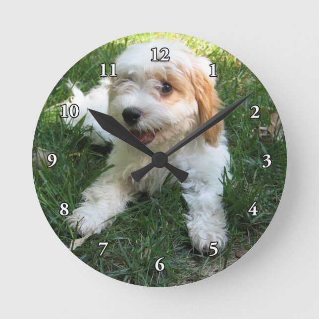 HORLOGE RONDE CUTE CAVAPOO PUPPY (Recto)