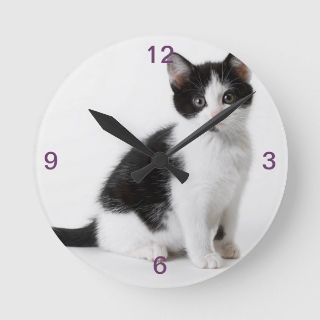 Horloge Ronde Cute Funny furry kitten black and white cat (Recto)