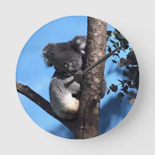 Horloge Ronde Cute Koala dans un arbre avec un arrière - plan b