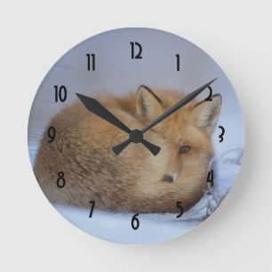 Horloge Ronde Cute Little Fox Curling Up Winter Photo