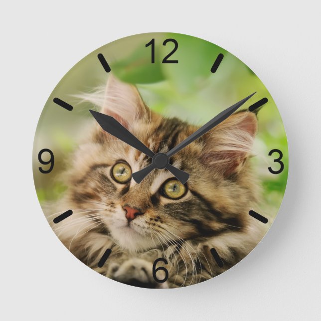 Horloge Ronde Cute Tabby Maine Coon Cat Kitten Fluffy Head Photo (Recto)