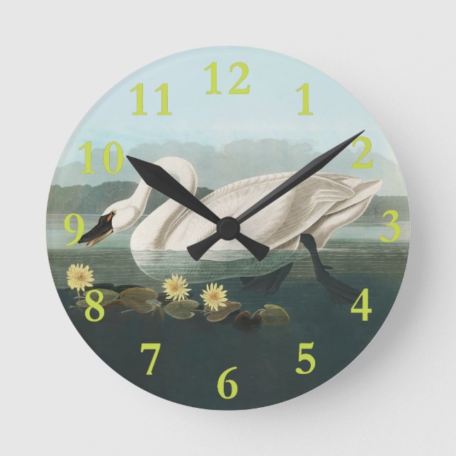 Horloge Ronde cygne audubon cygnes d'eau blanche (Recto)
