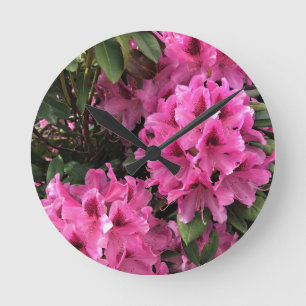 Horloge Ronde Cynthia Rhododendrons, Oregon