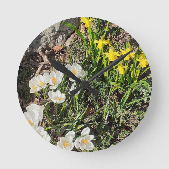 Horloge Ronde Daffodils et Crocus Clock (Recto)