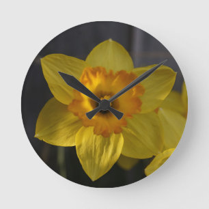Horloge Ronde Daffodique jaune soleil