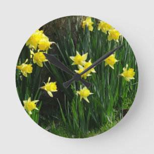 Horloge Ronde Daffodiques de printemps