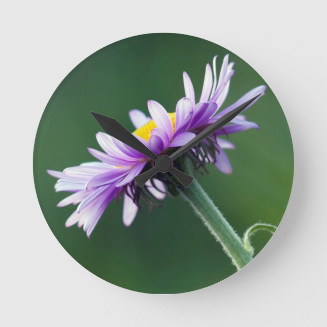 Horloge Ronde Daisy alpin (Recto)