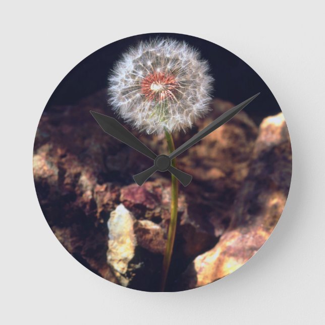 Horloge Ronde Dandelion (Recto)