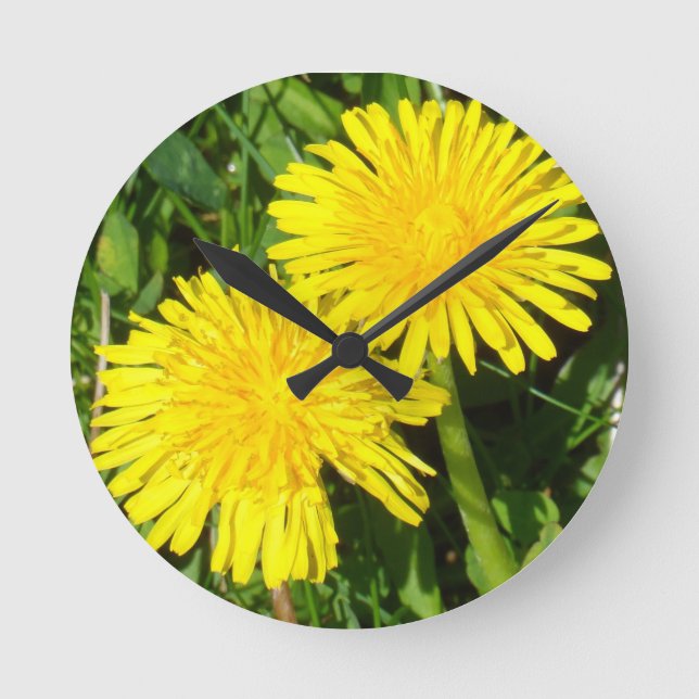 Horloge Ronde Dandelions (Recto)