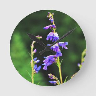 Horloge Ronde De beaux Fleurs sauvages violets fleurissent au Ca