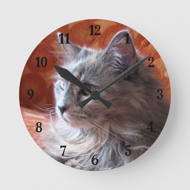 Horloge ronde de chats gris mignon et fluide (Recto)