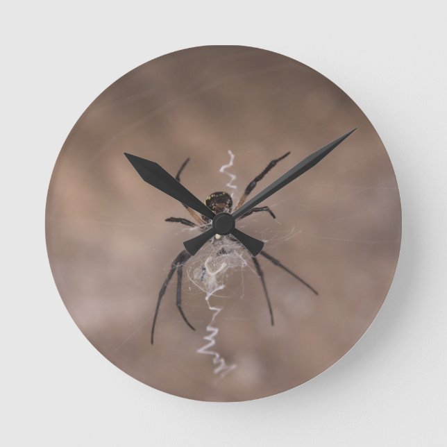 Horloge ronde de l'araignée (Recto)