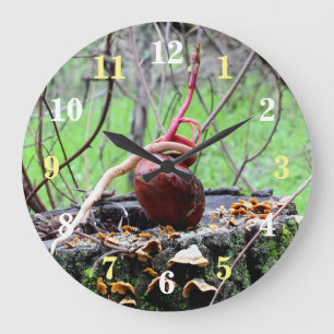 Horloge ronde de l'arbre de Buckeytree Sprout