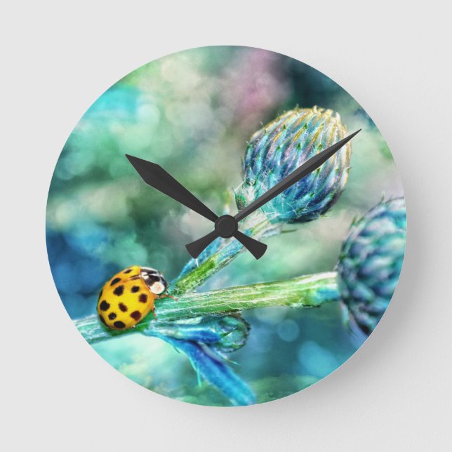 Horloge Ronde Der Marienkäfer (Recto)