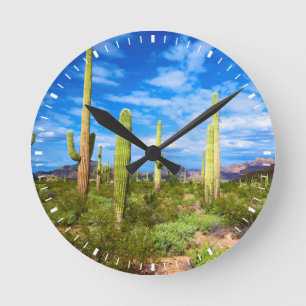 Horloge Ronde Desert cactus landscape, Arizona
