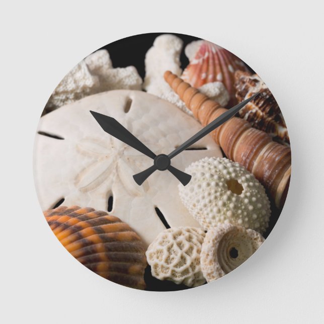 Horloge Ronde Détail Des Coquillages Du Monde Entier (Recto)