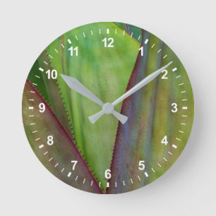 Horloge Ronde Détail du Plante Agave