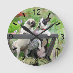 Horloge Ronde Deux chiens carlin chiot et Boston Terrier