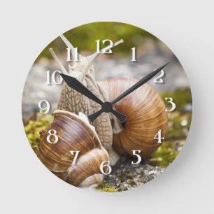 Horloge Ronde Deux escargots