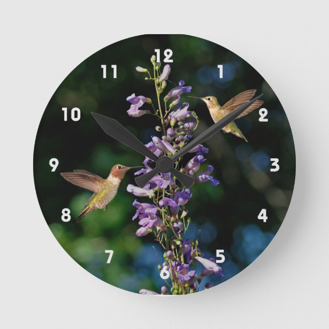 Horloge Ronde Deux Hummingbirds en vol avec cadenas de fleurs (Recto)