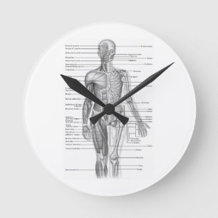Horloge Ronde Diagramme humain d'anatomie