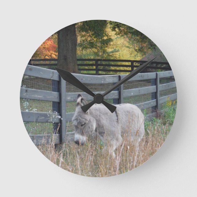 Horloge Ronde Donkey dans un champ d'automne (Recto)