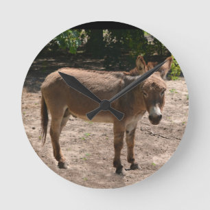 Horloge Ronde Donkey démocrate
