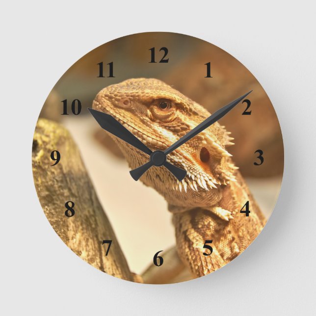 Horloge Ronde Dragon à tête (Recto)