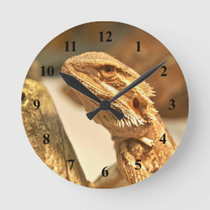 Horloge Ronde Dragon barbu
