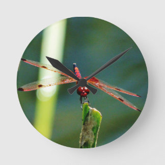 Horloge Ronde Dragonfly frontale rouge et noire