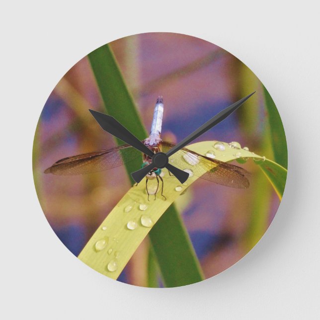 Horloge Ronde Dragonfly sur la feuille de pluie (Recto)