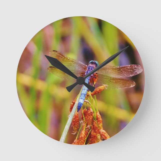 Horloge Ronde Dragonfly turquoise sur le carex (Recto)