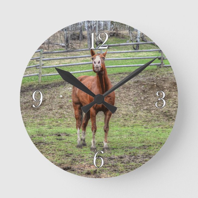 Horloge Ronde Drôle Chestnut Stallion Horse Whinnnnnning Photo (Recto)